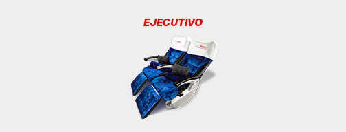 ejecutivo
